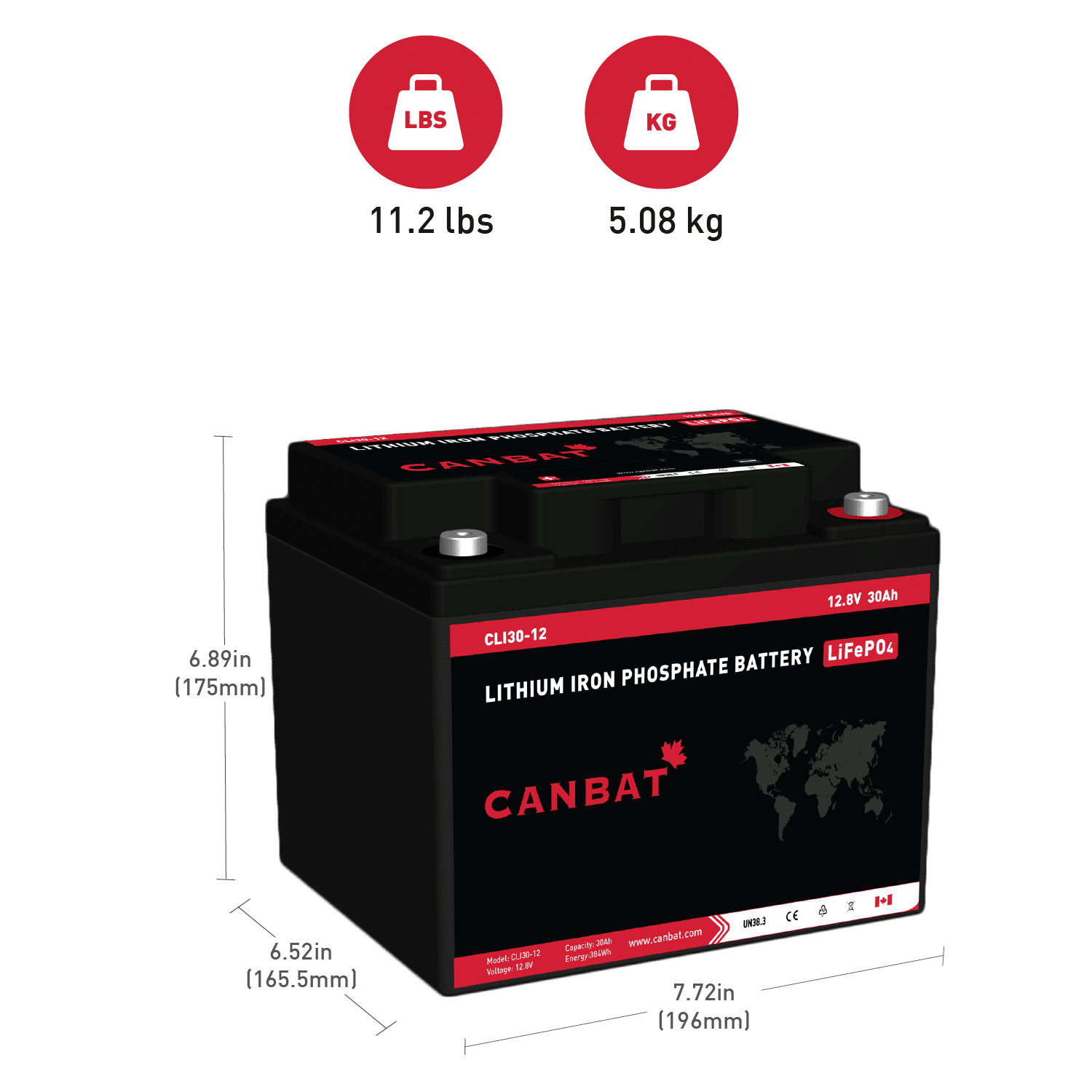 Canbat 12V 30Ah Lithium Battery Dimensions and Weight